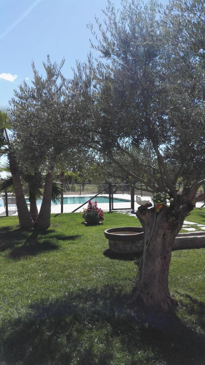 Agriturismo San Gallo Strassoldo ภายนอก รูปภาพ