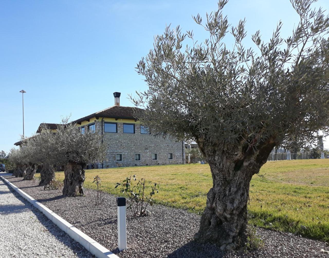 Agriturismo San Gallo Strassoldo ภายนอก รูปภาพ